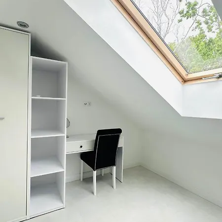 Piryt Krysztalowe 3*