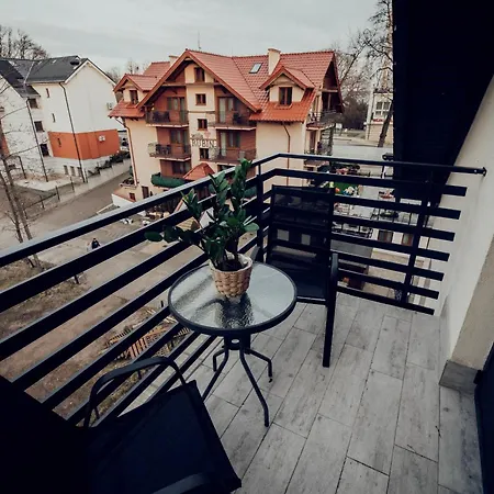 Piryt - Krysztalowe 3*