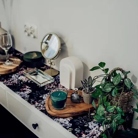 Piryt - Krysztalowe 库瑞尼卡慕斯卡